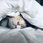 Senior with sleep problems — insomnia after 65