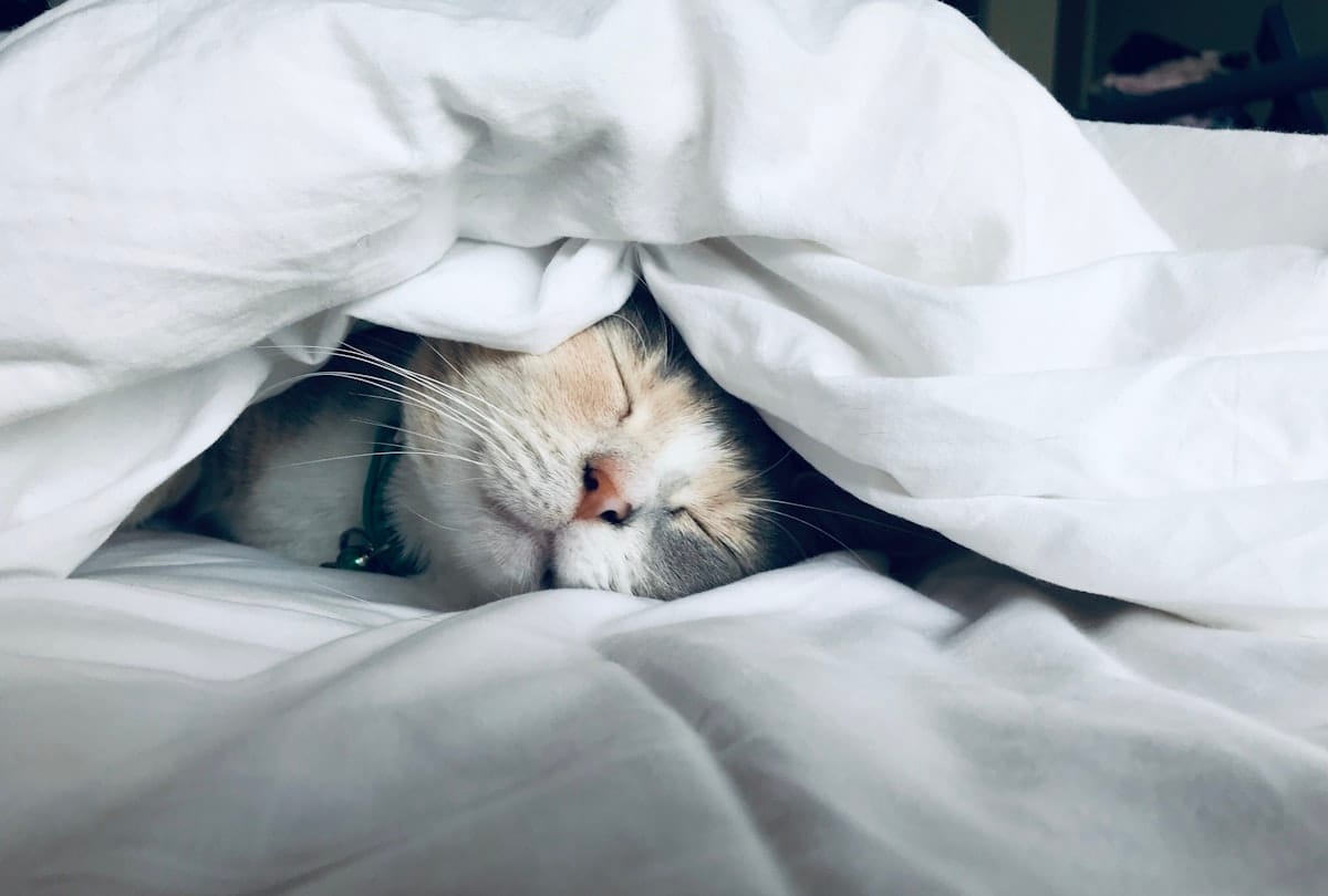 Senior with sleep problems — insomnia after 65