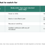 Table of UTI signs in older adults: bladder symptoms, body-wide signs needing same-day care, and emergency signs