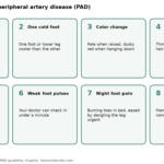 Grid of PAD warning signs: leg pain when walking, one cold foot, color change, shiny hairless skin, slow-healing sores, weak foot pulses, night foot pain, and no symptoms