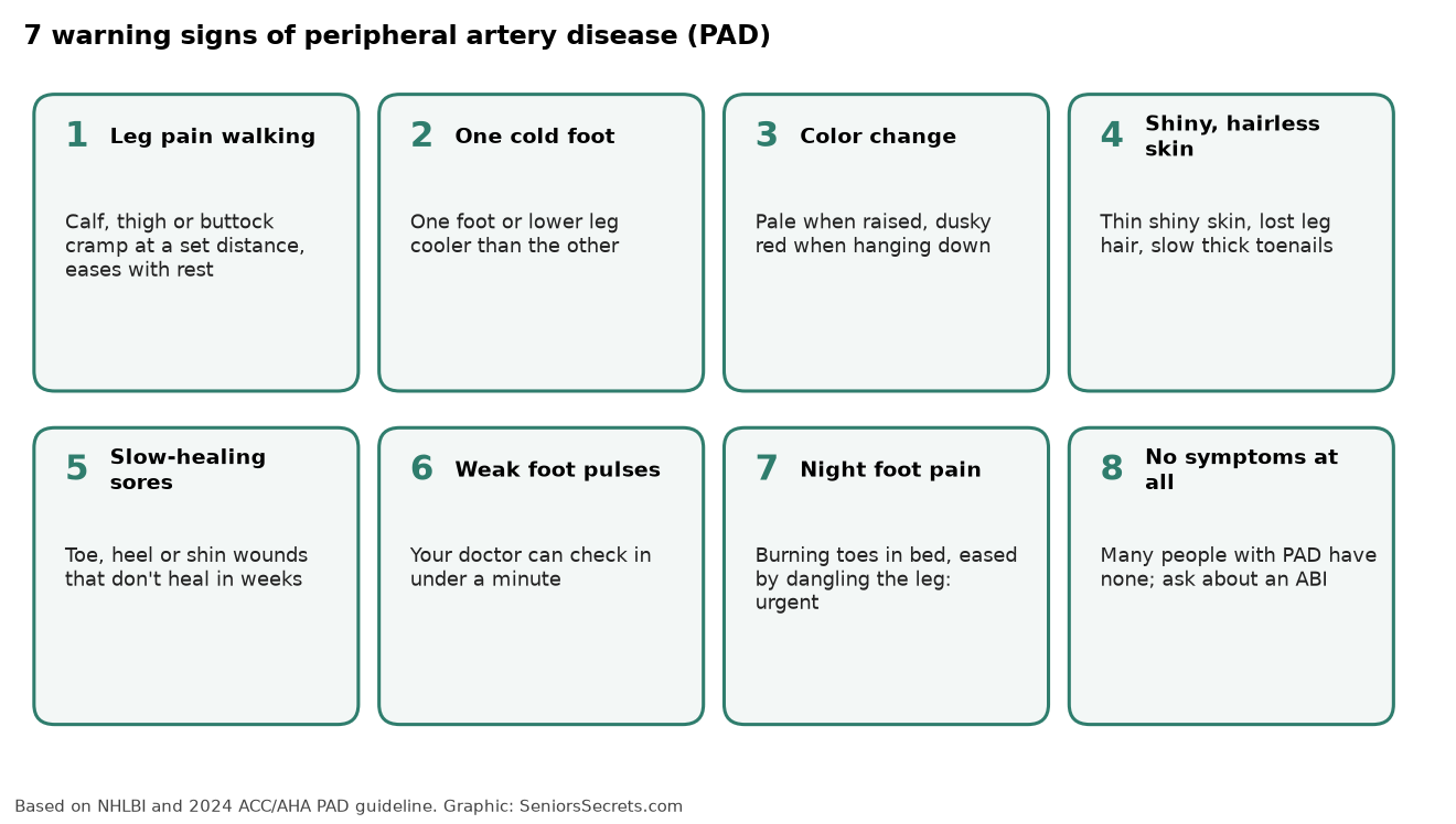 Grid of PAD warning signs: leg pain when walking, one cold foot, color change, shiny hairless skin, slow-healing sores, weak foot pulses, night foot pain, and no symptoms