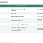 Comparison table of heat exhaustion and heat stroke: skin, pulse, temperature, mental state and what to do