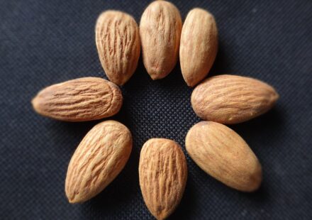 Close-up of almonds, a concentrated food source of vitamin E