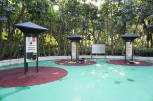 An outdoor fitness station built for older adults in a park