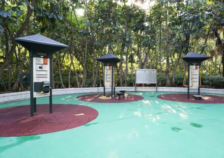 An outdoor fitness station built for older adults in a park