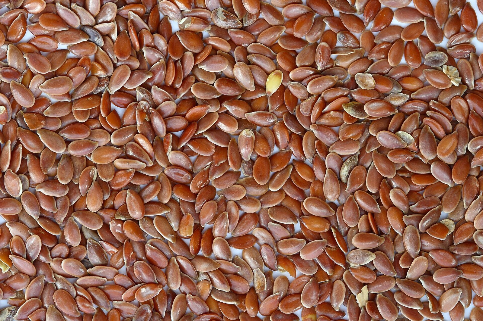 Bowl of brown flaxseeds