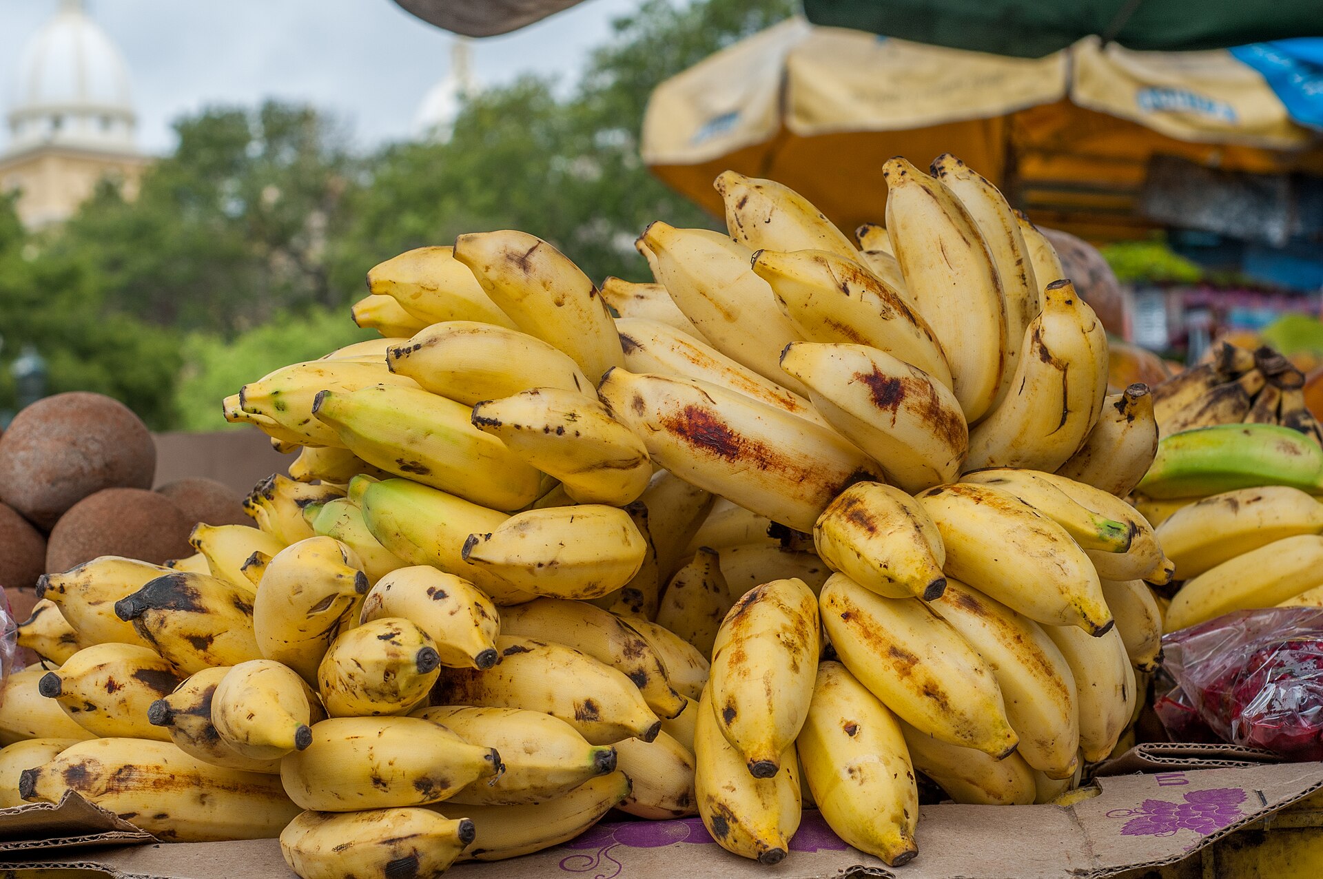 Bunch of bananas at a market