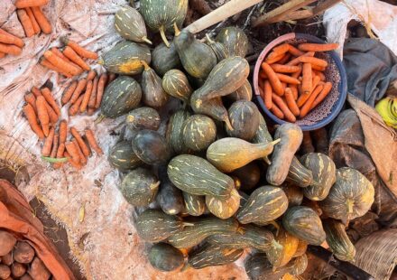 Green pumpkins, orange carrots and sweet potatoes laid out for sale at an outdoor market