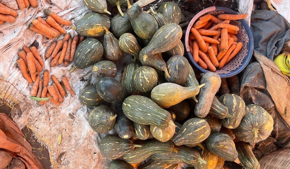 Green pumpkins, orange carrots and sweet potatoes laid out for sale at an outdoor market