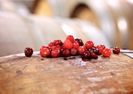 A small pile of red Montmorency and darker Balaton tart cherries on a wooden barrel top