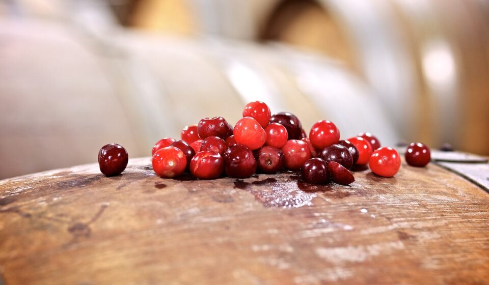 A small pile of red Montmorency and darker Balaton tart cherries on a wooden barrel top