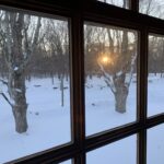 Late-day sun low through a window, the time of day when sundowning symptoms often begin