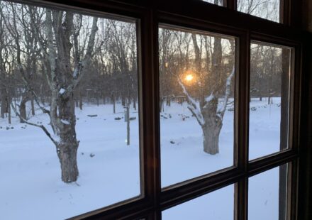 Late-day sun low through a window, the time of day when sundowning symptoms often begin