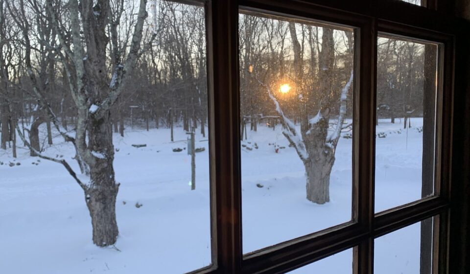 Sundowning in Dementia: Why Evenings Get Harder and What Actually Helps Late-day sun low through a window, the time of day when sundowning symptoms often begin