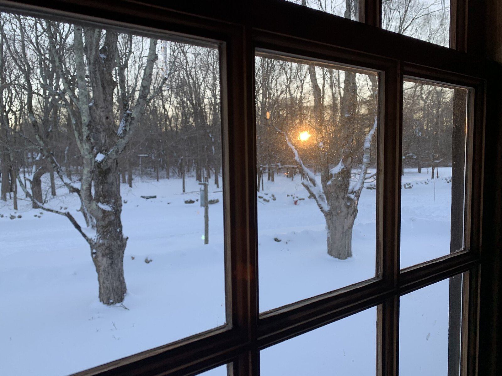 Late-day sun low through a window, the time of day when sundowning symptoms often begin