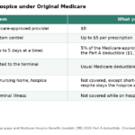 Table of what families pay for Medicare hospice care, including the $5 drug copay, respite care and room and board