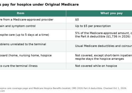Table of what families pay for Medicare hospice care, including the $5 drug copay, respite care and room and board